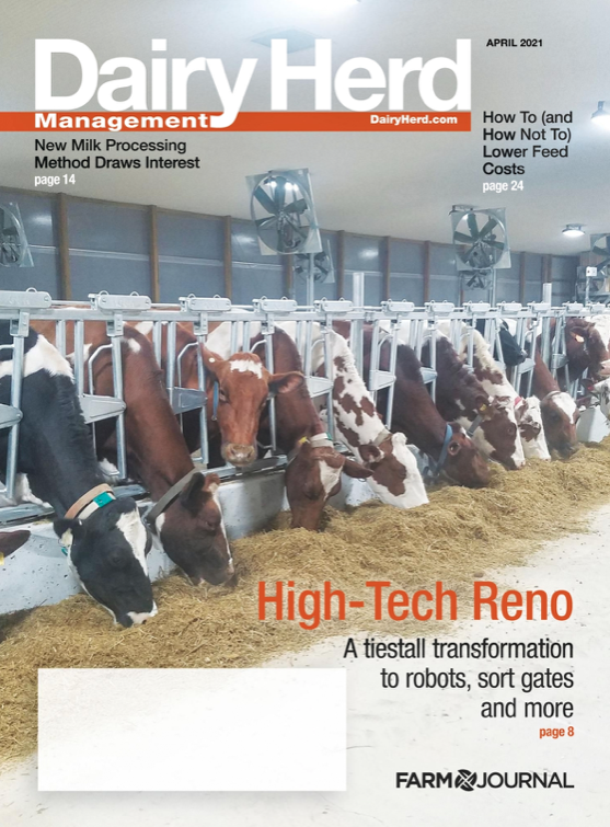 Issue Archive | Dairy Herd